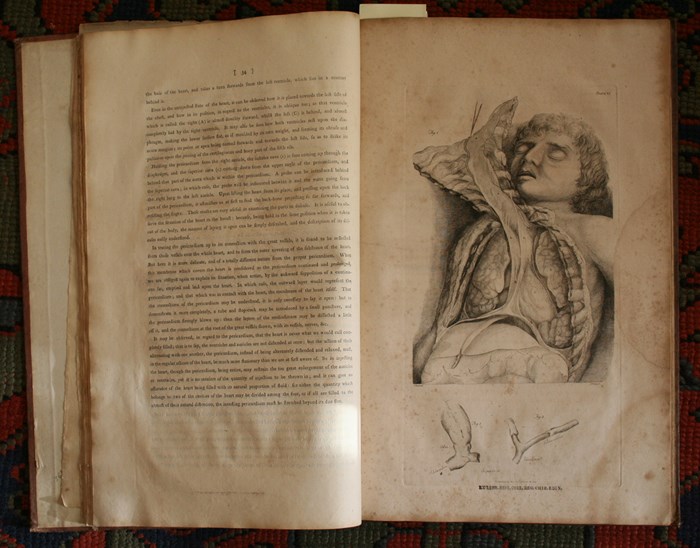 Charles Bell's 1798 System of dissections Charles Bell's 1798 System of dissections