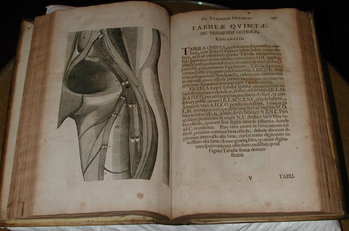 Fabricius' 1687 Opera omnia Fabricius' 1687 Opera omnia